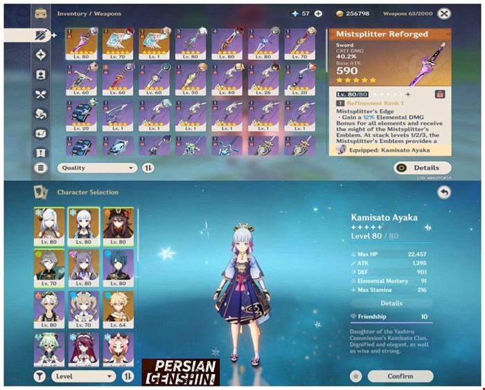 Account Number 308