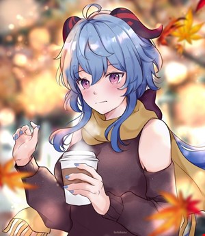 Account Number 27