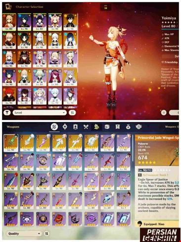 Account Number 205