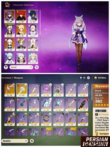 Account Number 211