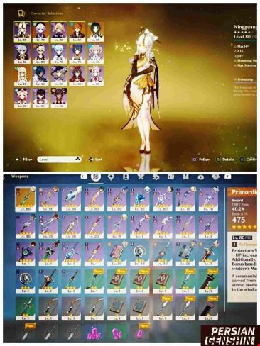 Account Number 213