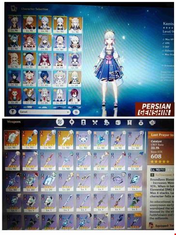 Account Number 235