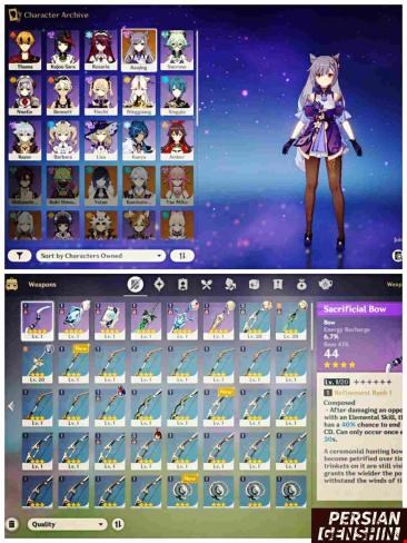 Account Number 193