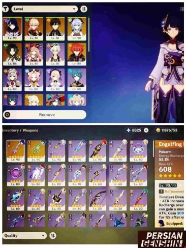 Account Number 255