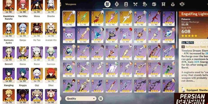 Account Number 292