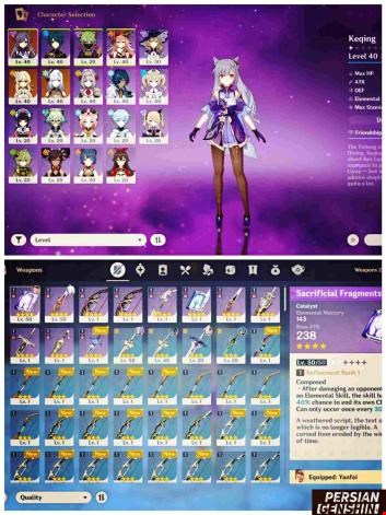 Account Number 293