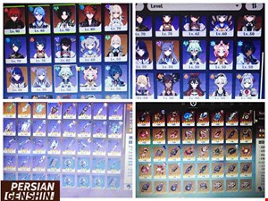 Account Number 87