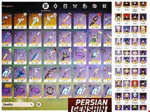 Account Number 95
