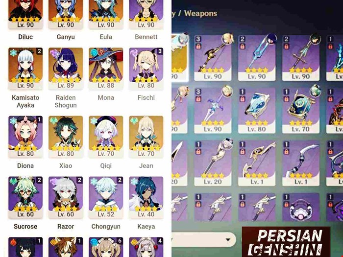 Account Number 96