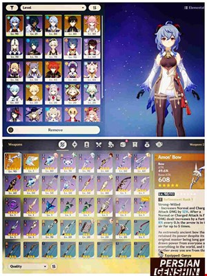 Account Number 103